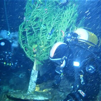 Nastavljena tradicija polaganja božićne jelke u podmorje