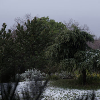 Fotocrtica: Snijeg u travnju