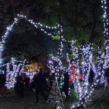 Fotocrtica: Zasjale prve božićne lampice