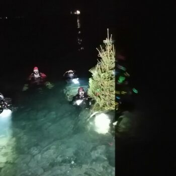 Podmorska atrakcija: okićena božićna drvca