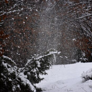 Fotocrtica iz Like: Čarobna snježna šetnja
