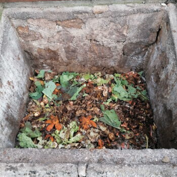 Kompost i biovrt