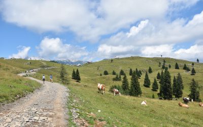 Velika planina – savršen bijeg od ljetnih vrućina