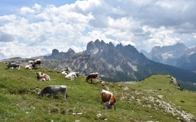 Tre Cime di Lavaredo – raj za sve zaljubljenike u prirodu