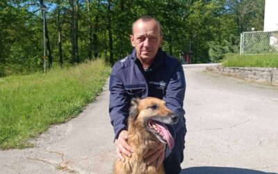 Održano osposobljavanje i uvježbavanje pripadnika civilne zaštite u Šapjanama