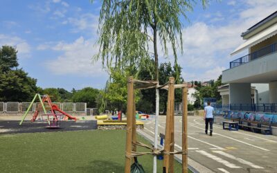 Inovativne metode brige o stablima tijekom ljetnih mjeseci