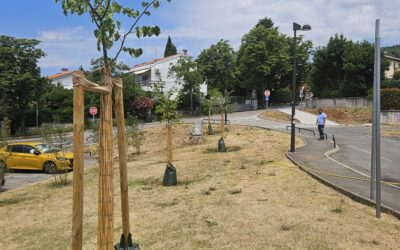 Inovativne metode brige o stablima tijekom ljetnih mjeseci
