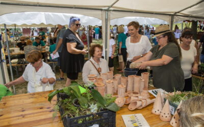 Udruga Novi Val i ove godine oduševila na FLIK festivalu u Petrinji: Predstavili unikatnu radionicu „Terraponika“