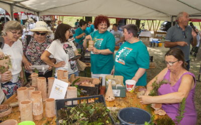 Udruga Novi Val i ove godine oduševila na FLIK festivalu u Petrinji: Predstavili unikatnu radionicu „Terraponika“