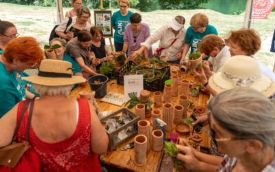 Udruga Novi Val i ove godine oduševila na FLIK festivalu u Petrinji: Predstavili unikatnu radionicu „Terraponika“