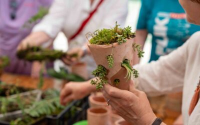 Udruga Novi Val i ove godine oduševila na FLIK festivalu u Petrinji: Predstavili unikatnu radionicu „Terraponika“