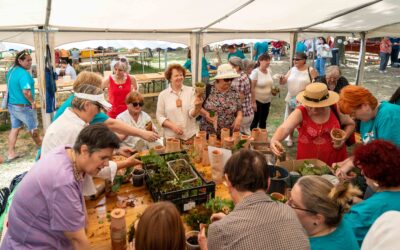 Udruga Novi Val i ove godine oduševila na FLIK festivalu u Petrinji: Predstavili unikatnu radionicu „Terraponika“
