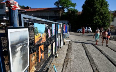 Održana 22. likovna kolonija udruge Veli pinel