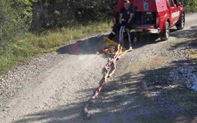 Održana Zelena čistka- prikupljeno 30 m³ otpada