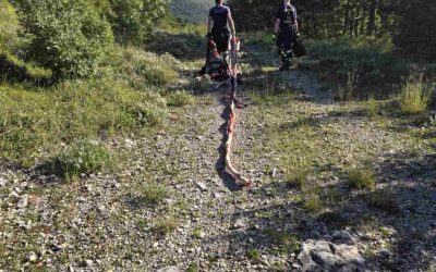 Održana Zelena čistka- prikupljeno 30 m³ otpada