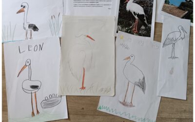 „Naša mala knjižnica“ u Kostreni – čarolija priča koja spaja vrtić, školu i knjižnicu