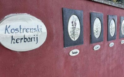 Kostrenski herbarij udruge Vali – nova atrakcija obalne šetnice