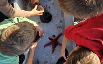 Skupina Iskrice iz DV Zlatna ribica sudjelovala na Eko radionici Čuvar mora