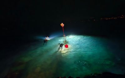 Članovi KPA Kostrena već 33. put položili božićno drvce u more