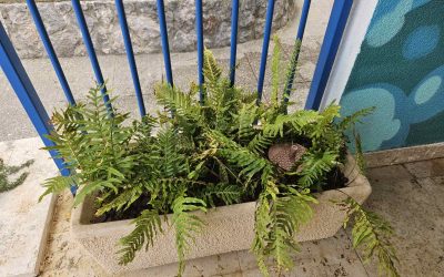 Kreativnost i priroda u fokusu – suradnja Udruge NOVI VAL i DV „Zlatna ribica“ donosi nove vrijednosti djeci