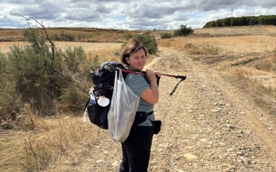 Put svetog Jakova – Camino Frances