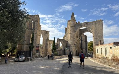 Put svetog Jakova – Camino Frances