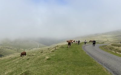 Put svetog Jakova – Camino Frances