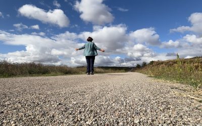 Put svetog Jakova – Camino Frances