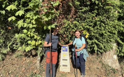 Put svetog Jakova – Camino Frances