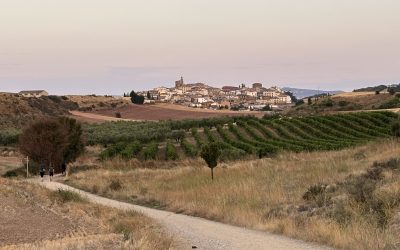 Put svetog Jakova – Camino Frances