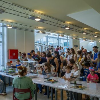 KaKaO oduševio najmlađe: rekordna posjećenost i najbogatiji program dosad