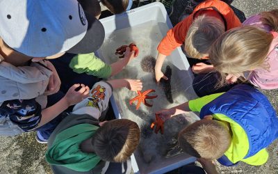 KPA Kostrena s djecom obilježio Dan planeta Zemlje