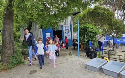 Klub podvodnih aktivnosti Kostrena ugostio male istraživače mora