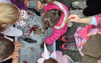 Klub podvodnih aktivnosti Kostrena ugostio male istraživače mora