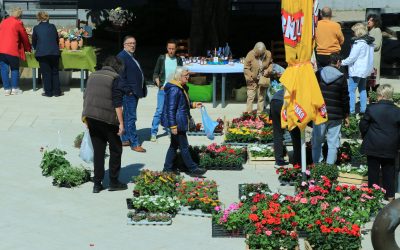Uz mirise proljeća i pogled na more, kostrenski sajam oduševio velikim odazivom