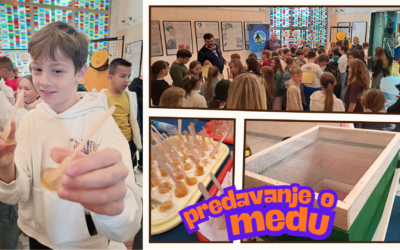 Interdisciplinarni školski projekt povodom 100 godina medvjedića Winnieja Pooha
